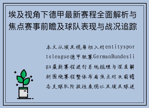 埃及视角下德甲最新赛程全面解析与焦点赛事前瞻及球队表现与战况追踪